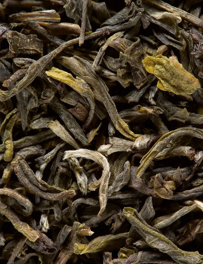[D3008] Dammann Frères Yunnan Vert 500g