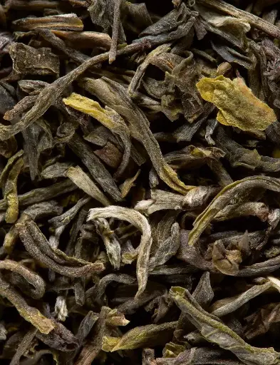 [D3008] Dammann Frères Yunnan Vert 500g